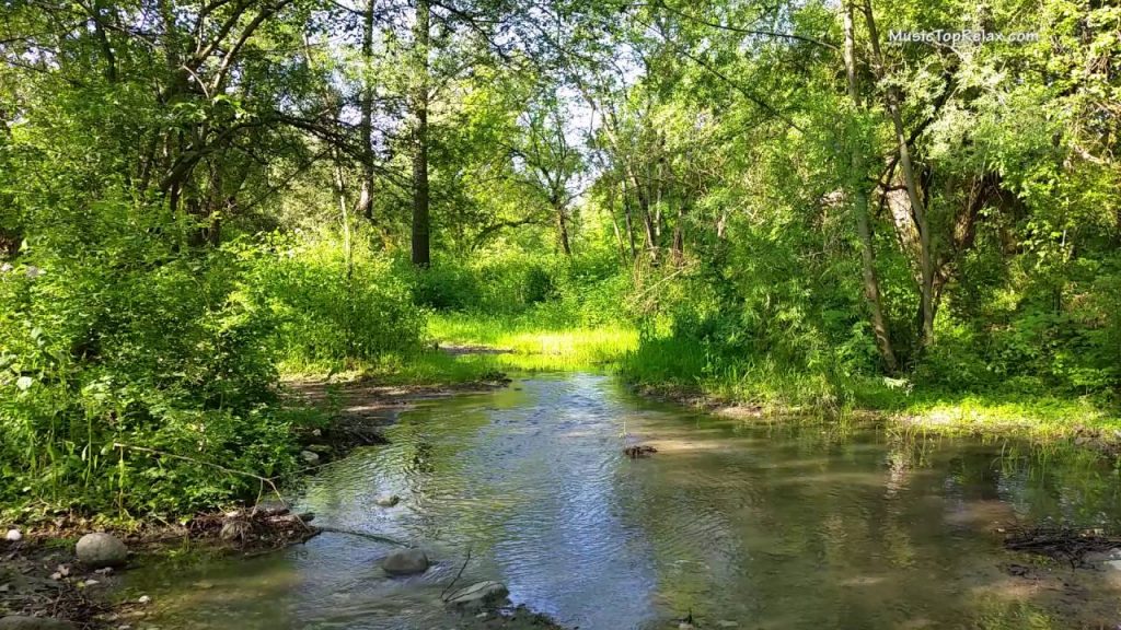 Listen to nature - it speaks Russian